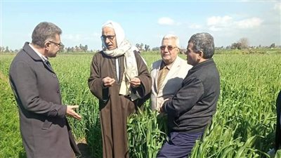 البحوث الزراعية ينظم مدرسة حقلية عن التلقيح وأهميته في نخيل التمور