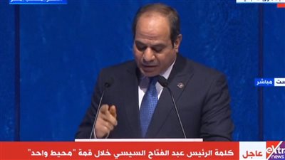 الرئيس السيسي: مصر تتخذ خطوات هامة في ملف الطاقة المتجددة