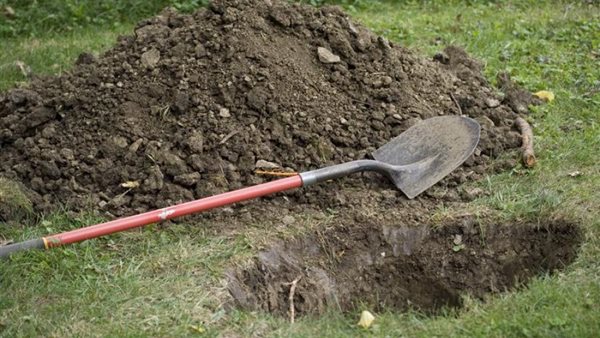 زوج قتل زوجته في