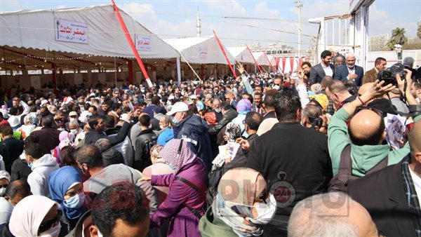 انتخابات الزمالك