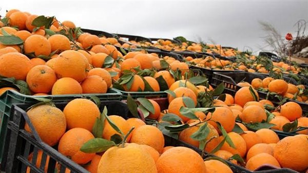 مصدرون يشكرون الزراعة