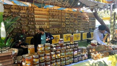 انطلاق مهرجان العسل المصري بمشاركة 50 عارضًا بالإسكندرية | فيديو