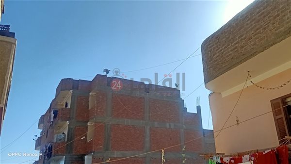 حالة الطقس بأسوان