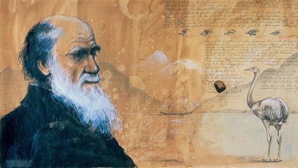 لوحة تجسد داروين