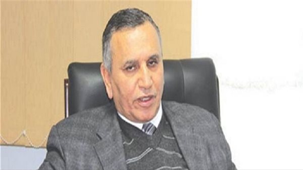  الدكتور عبد السند