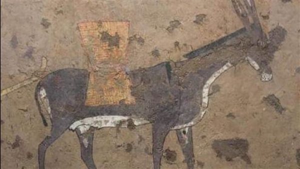 الحمار في مصر القديمة