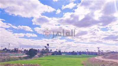 بعد عاصفة ترابية شديدة.. استقرار حالة الطقس اليوم في الفيوم