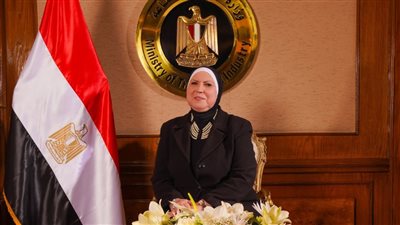 بسبب مشاكل المصانع والمستثمرين.. وزيرة التجارة في مواجهة 76 أداة رقابية بمجلس النواب