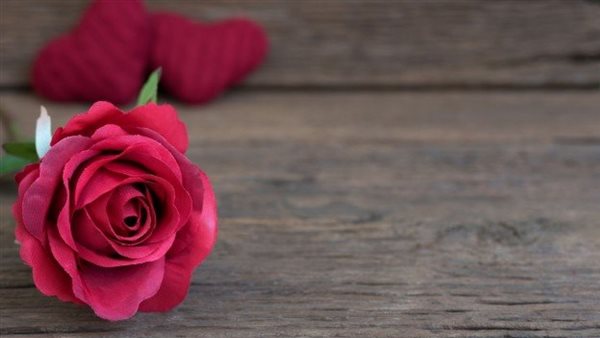 عيد الحب 2022