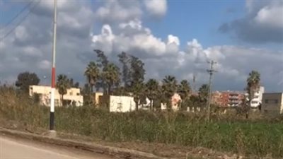 سطوع الشمس واستقرار درجات الحرارة بكفر الشيخ.. والأرصاد تحذر الأهالي | بث مباشر