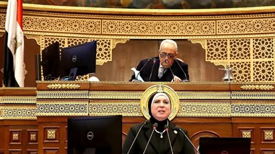 وزيرة الصناعة بالشيوخ: الانتهاء من 61 إجراء لتحفيز الاستثمار في قطاع الصناعة