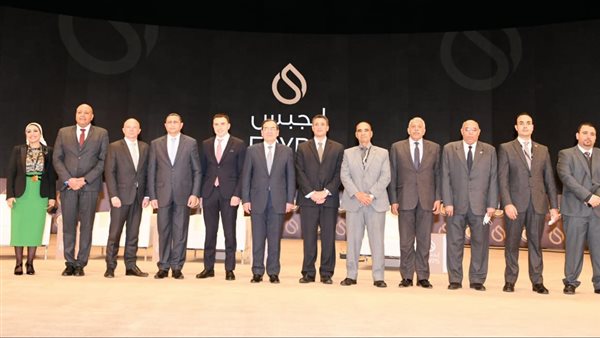 مؤتمر ومعرض مصر الدولى