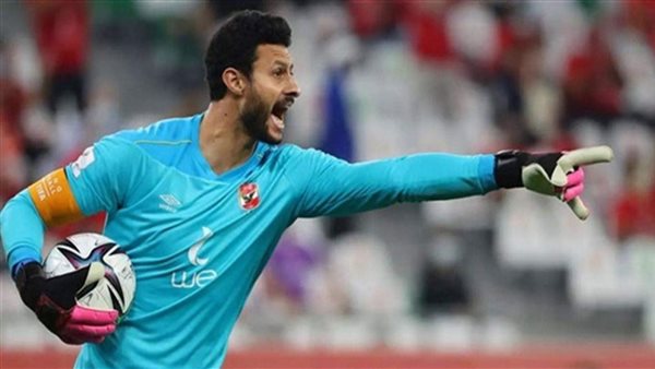 محمد الشناوي 