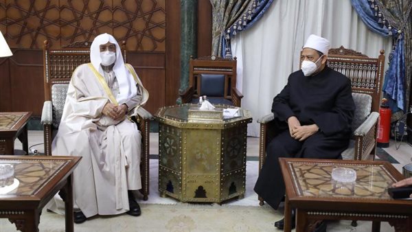 شيخ الأزهر ووزيرالدعوة