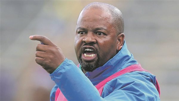 مدرب صن داونز