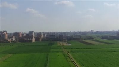 رغم التحذيرات من الأخدود العلوي.. شمس ساطعة وطقس مستقر بمحافظتي المنوفية وكفر الشيخ | بث مباشر