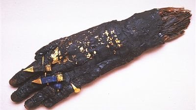 يعرض يد مومياء.. متحف ليفربول يعرض قطع اثرية مصرية فريدة 