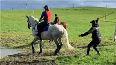 هجوم كبير على بطل أوليمبي شهير بسبب تعديه على حصان بطريقة مفزعة.. والمتهم يعتذر | ما القصة ؟ 