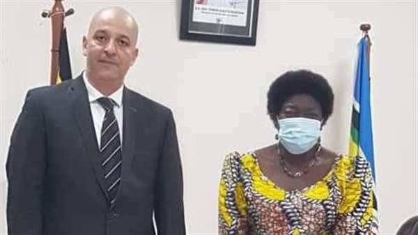 السفير المصري ونائية