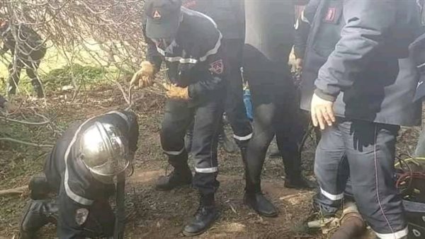 ريان الجزائري 