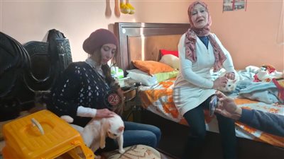 سيدة القطط بطنطا: غدر البشر أجبرني على تبني القطط.. وبعت دهبي عليهم عشان حنينين عليا