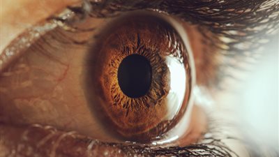  دراسة: وضع العين يكشف الحالة الصحية لباقي أعضاء الجسم