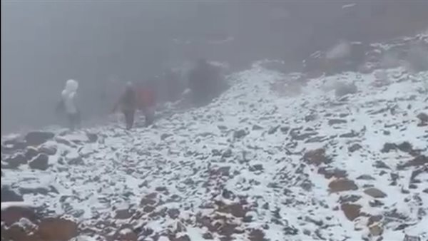 تساقط الثلوج على