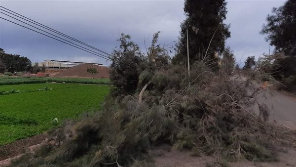 بسبب الطقس السيئ