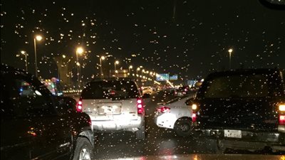 بسبب الأمطار.. مصرع وإصابة 6 أشخاص في حادث على طريق المحور بالجيزة