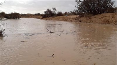 محتمل تعرضهما للسيول.. تحرك عاجل لمحافظة قنا لإنقاذ قريتين من طقس الشتاء