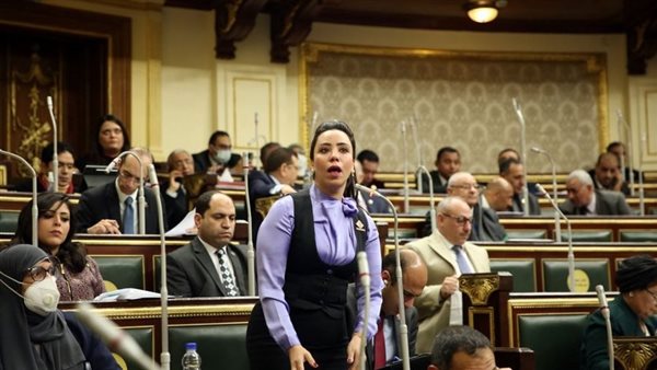 النائبة غادة علي