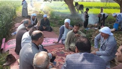 زراعة الفيوم: برامج إرشادية للمزارعين بأهم أصناف محصول القمح وتجنب الري خلال هبوب الرياح