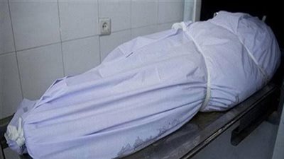 قاتل جاره بالقليوبية: مقصدتش اقتله وكنت بدافع عن نفسي