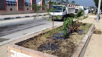 زراعة 3660 شجرة بمركز جهينة ضمن فعاليات مبادرة أحلى وهي خضرة بسوهاج |صور 