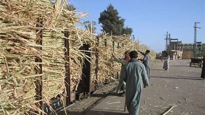 قطار قصب ينهي حياة طفل بقنا