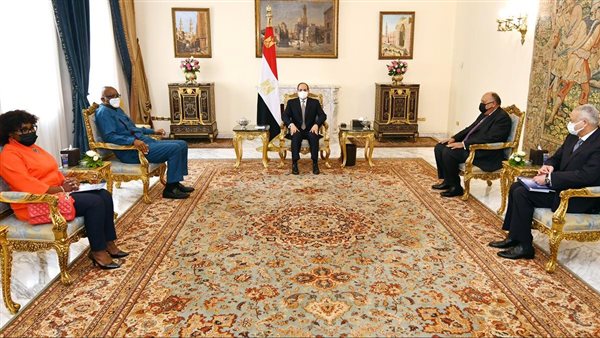 السيسي مع الوفد الإفريقي