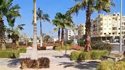 طقس معتدل دافئ بـ كفر الشيخ والغردقة.. وتحذيرات من هبوب الرياح المحملة بالرمال | بث مباشر