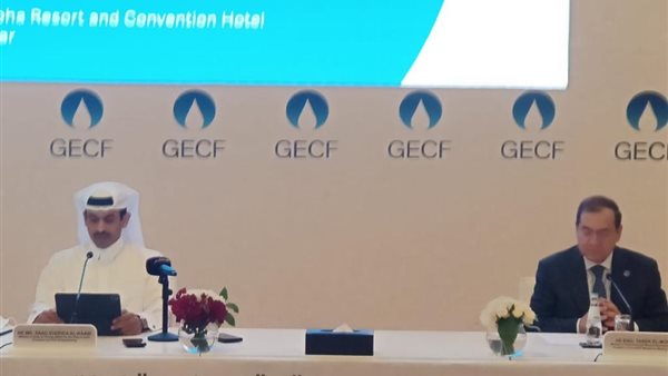 وزير البترول المصري