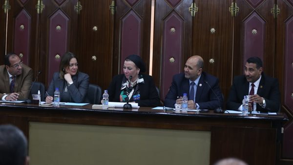 لجنة البيئة والطاقة