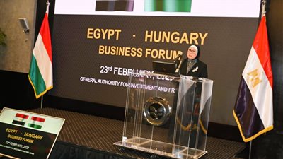 وزيرة الصناعة: فرص استثمارية واعدة أمام دوائر الأعمال المجرية في مصر