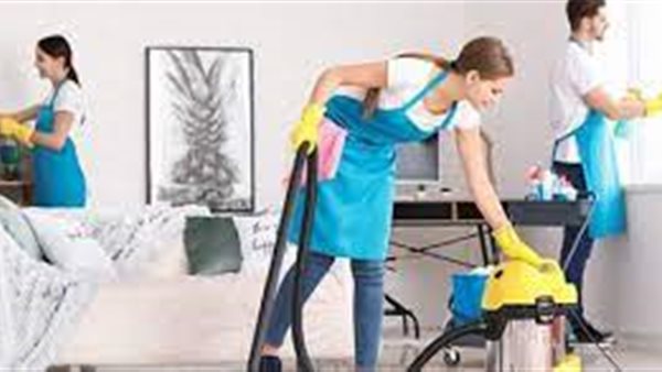 الأنشطة المنزبية