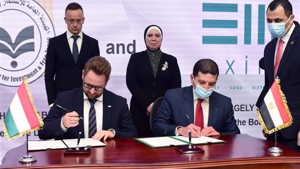 المستشار محمد عبد