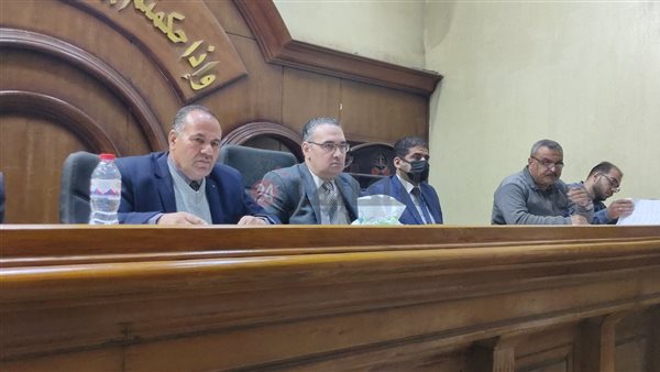 المستشار سلامة جاب