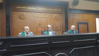 شاهدتهما في وضع مُخلّ.. الإعدام للمتهمة بقتل ابنتها بمساعدة عشيقها بالخصوص