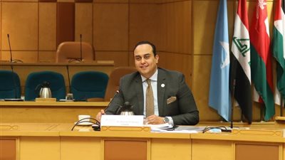 أحمد السبكي رئيسا للجنة الخبراء لاجتماع اللجنة الإقليمية للصحة العالمية لدول شمال وشرق المتوسط 