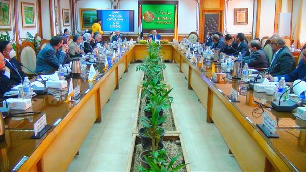 مجلس جامعة المنيا