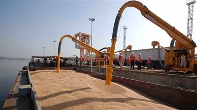 العربية: مصر تستهدف استيراد 13 مليون طن قمح في العام المالي الجديد