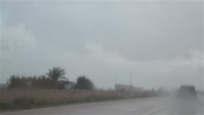 غيوم كثيفة تغطي سماء كفر الشيخ.. وطقس معتدل في أسوان │ بث مباشر
