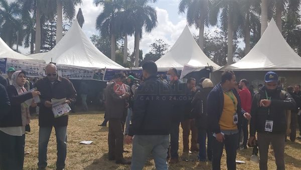 انتخابات المهندسين