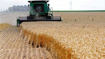 روسيا تعلن رفع رسوم تصدير القمح إلى 4497 روبل للطن
